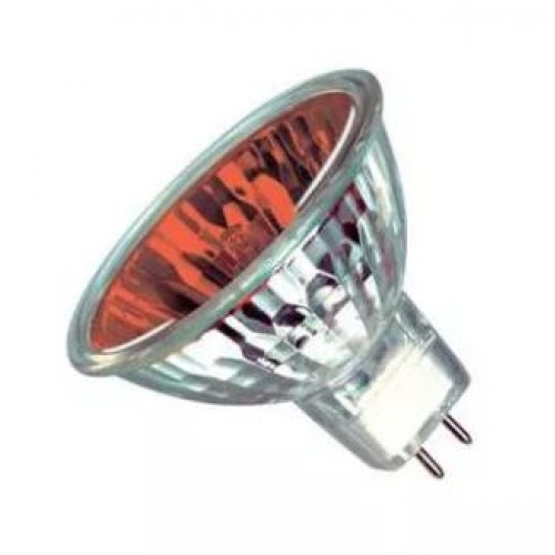 Spare 12V 8W Red Amber Bulb